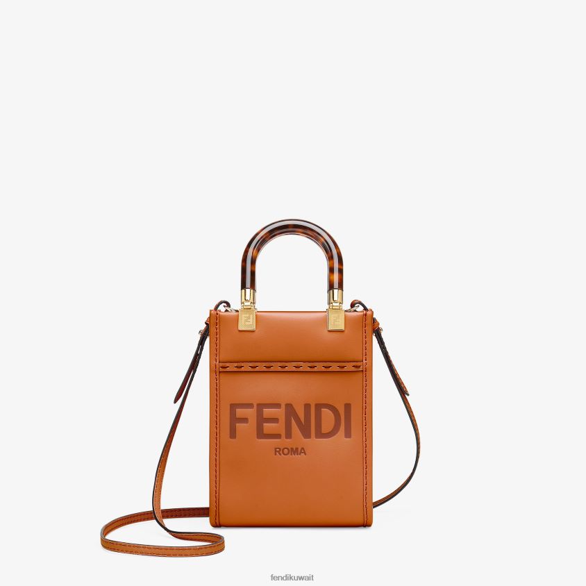 Fendi بني نحيف حقيبة صن شاين شوبر صغيرة من الجلد RTJZ681 مُكَمِّلات