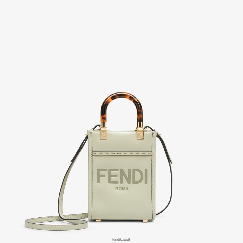Fendi أخضر نحيف حقيبة صن شاين شوبر صغيرة من الجلد RTJZ733 مُكَمِّلات